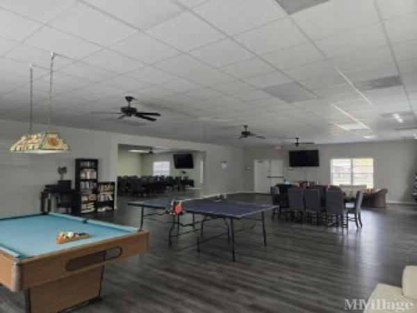Photo of Royal Palm, Stuart FL