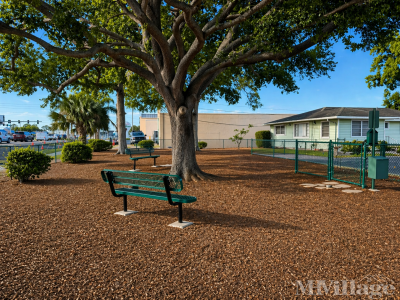 Photo 5 of 19 of park located at 14300 66th Street North Clearwater, FL 33764