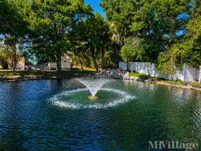 Photo 2 of 19 of park located at 14300 66th Street North Clearwater, FL 33764