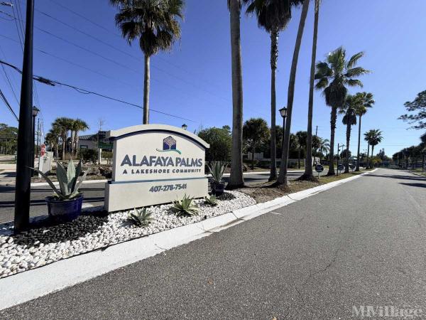 Photo of Alafaya Palms, Orlando FL