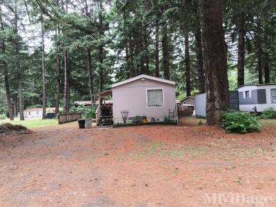 Mobile Home Park in Carson WA