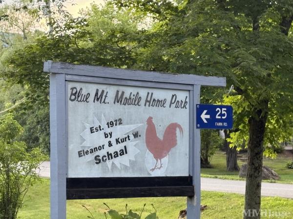 Photo 0 of 2 of park located at Fawn Rd Saugerties, NY 12477