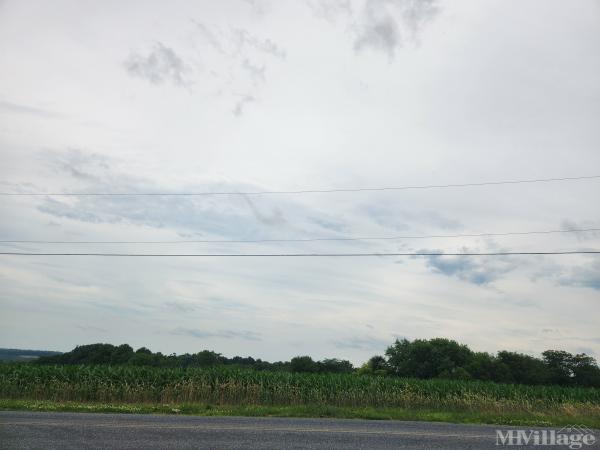 Photo of Laura Court, Quarryville PA