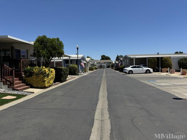 Photo 0 of 2 of park located at 1313 East Gibson Road Woodland, CA 95776