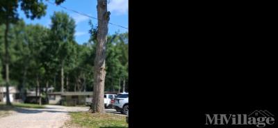 Mobile Home Park in Springville TN