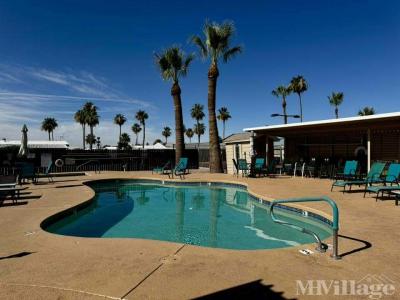 Mobile Home Park in Apache Junction AZ