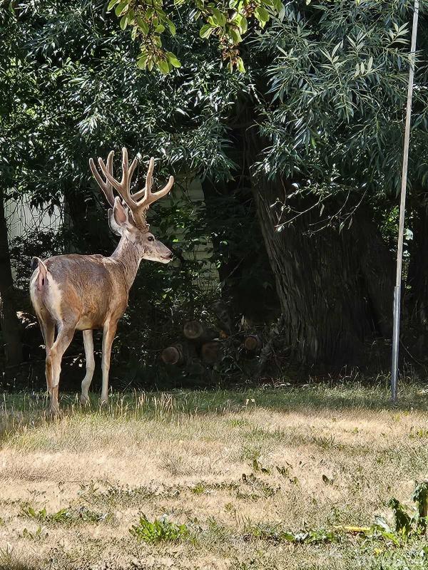 Photo 1 of 2 of park located at 3003 Valmont Road Boulder, CO 80301