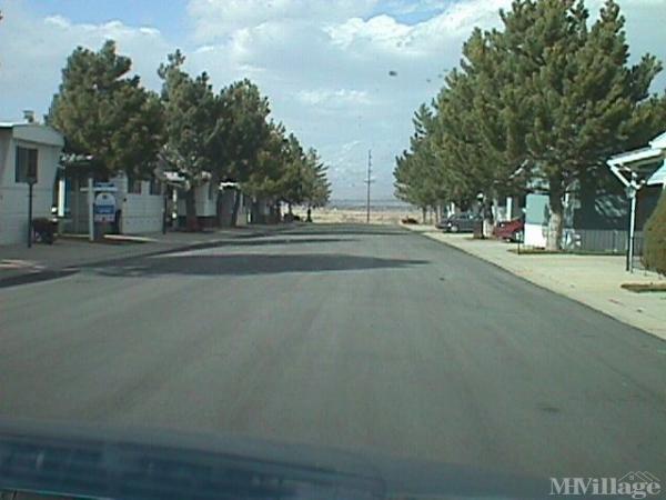 Photo of Miller Meadows, Payson UT