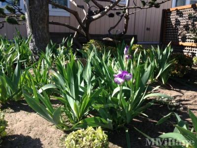 Photo 3 of 12 of park located at 356 Reservation Road Marina, CA 93933