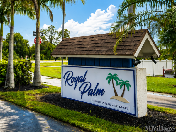 Photo of Royal Palm, Stuart FL