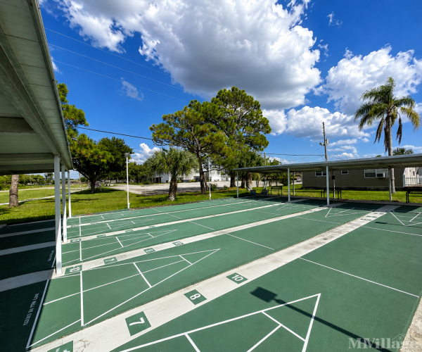 Photo of Sun Seair, Largo FL
