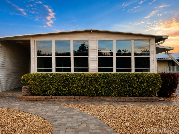 Photo of Americana Cove, Saint Petersburg FL