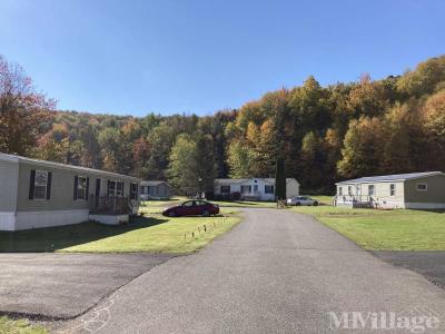 Photo 3 of 9 of park located at 29 Mccoy Rd Harpursville, NY 13787