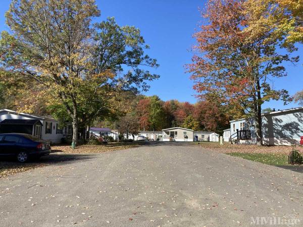 Photo of Wooded Estates, Harpursville NY