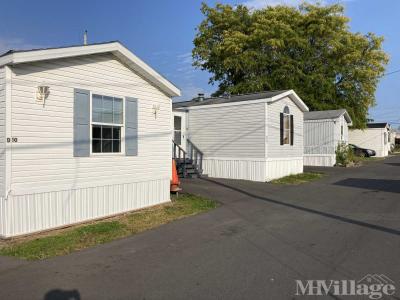 Photo 2 of 3 of park located at 1705 Lemoyne Ave Syracuse, NY 13208