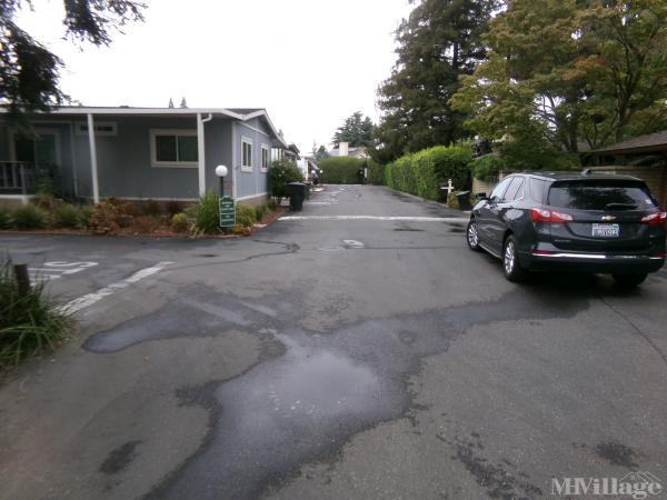 Photo of Park Sierra Mobile Home Park, Riverbank CA