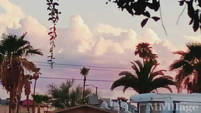Photo 5 of 22 of park located at 315 River Glen Drive Bullhead City, AZ 86430