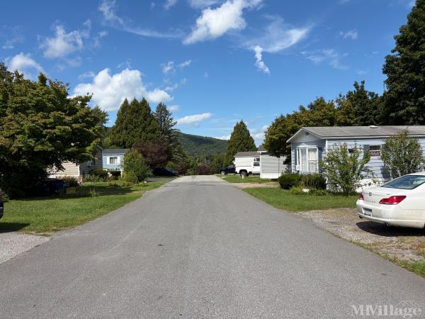Photo 0 of 2 of park located at 198 Sinpatch Rd Wassaic, NY 12592