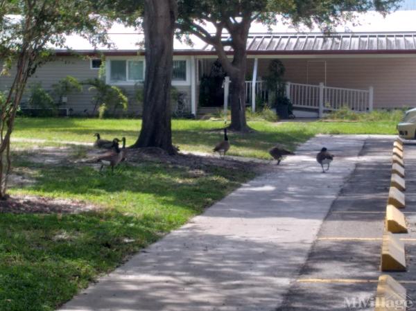 Photo 0 of 2 of park located at 1001 Starkey Road Largo, FL 33771