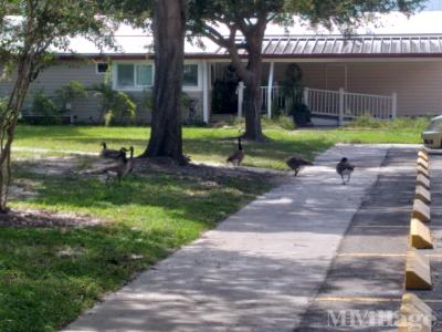 Mobile Home Park in Largo FL