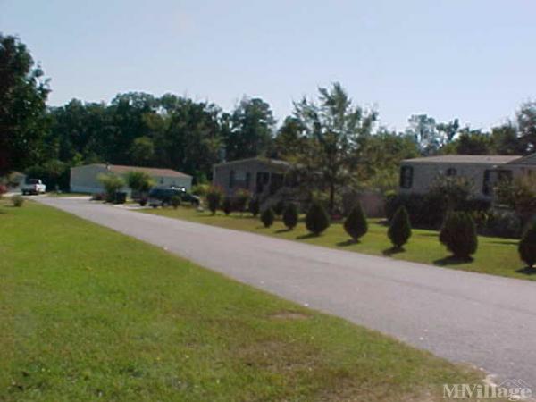 Photo of Spring Lake - Patriot Estates, Warner Robins GA