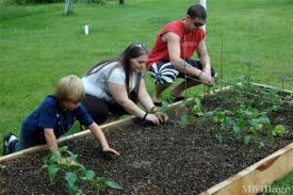 Photo 1 of 2 of park located at Medomak Mobile Home Park Waldoboro, ME 04572