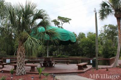 Photo 4 of 6 of park located at 2650 Holiday Trail Kissimmee, FL 34746