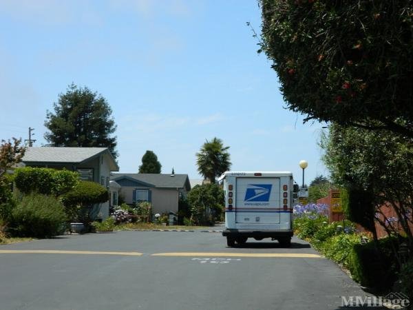 Photo of Beachcomber Mobile Home Park Cooperative Inc, Santa Cruz CA