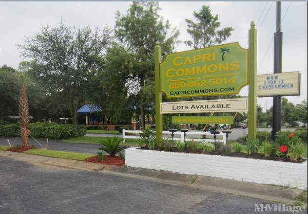 Photo of Capri Commons, Fort Walton Beach FL