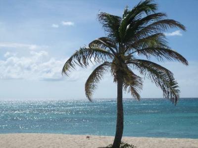 Sunshine State Mobile Homes, LLC mobile home dealer with manufactured homes for sale in Clearwater, FL. View homes, community listings, photos, and more on MHVillage.