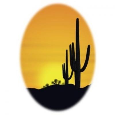 Cactus Country Manufactured Homes Sales, LLC. mobile home dealer with manufactured homes for sale in Phoenix, AZ. View homes, community listings, photos, and more on MHVillage.