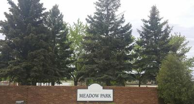 Meadow Park