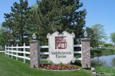 Saddlebrook Farms
