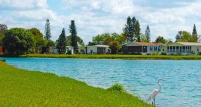 Island Vista Estates mobile home dealer with manufactured homes for sale in North Fort Myers, FL. View homes, community listings, photos, and more on MHVillage.