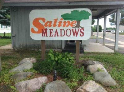 Saline Meadows  