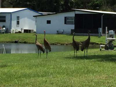 Mobile Home Dealer in New Port Richey FL