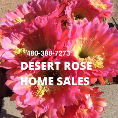Desert Rose Home Sales 