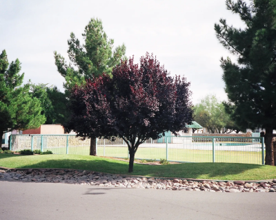 Mobile Home Dealer in Mesilla Park NM