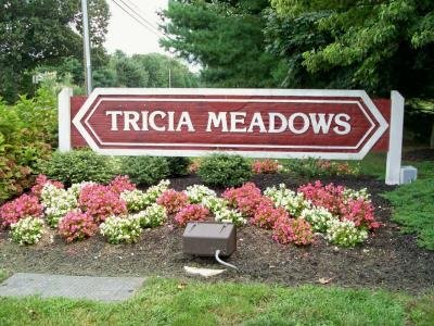 Listed By null null of Tricia Meadows