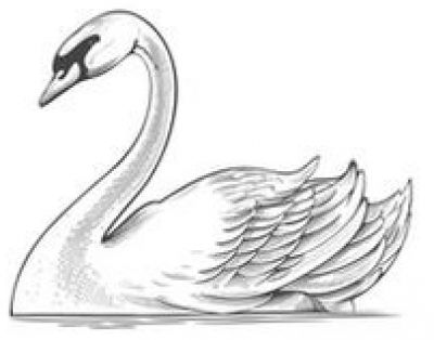 Listed By null null of the SWANS