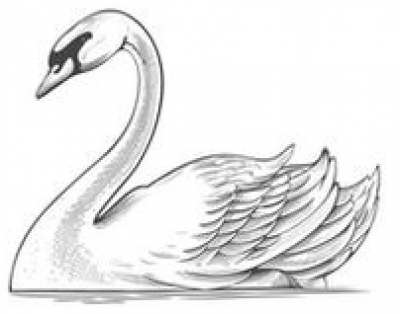 Listed By null null of the SWANS